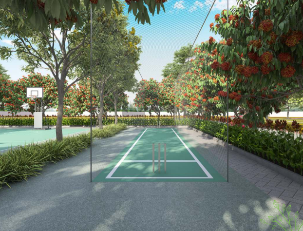 Cricket Practice Net